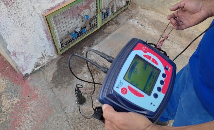 Detecção de Vazamentos em BH